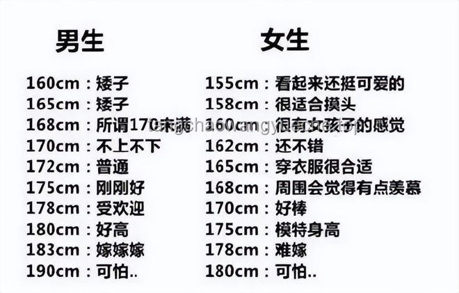 **男生最受女生欢迎的身高排名对比分析：揭秘理想身高的秘密**